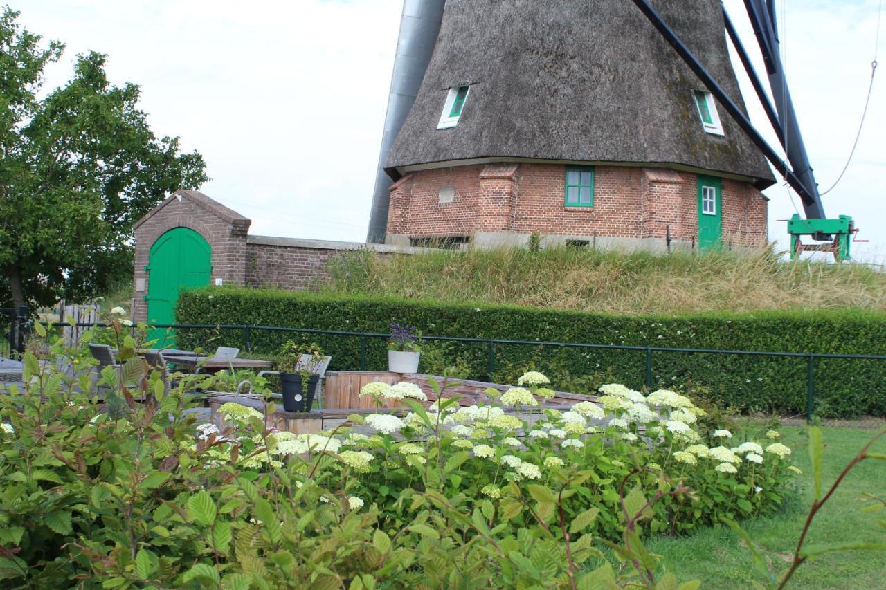 Bij Molen De Blazekop, Rustig En Landelijk Ovezande Exterior photo
